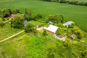 9836 E Maize Rd, Ridott, IL 61067 - Photo 45