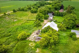 9836 E Maize Rd, Ridott, IL 61067 - Photo 41