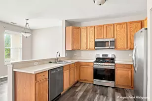 487 S Litchfield Dr, Round Lake, IL 60073 - Photo 7