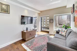 1100 N Lake Shore Dr, Chicago, IL 60611 - Photo 29