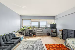 7337 S South Shore Dr, Chicago, IL 60649 - Photo 5