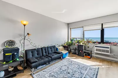7337 S South Shore Drive #211, Chicago, IL 60649 - Photo 1