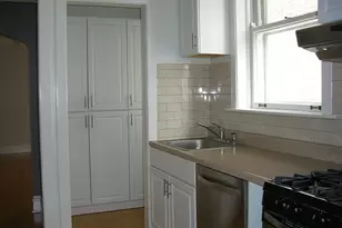 4621 N Lawndale Ave, Chicago, IL 60625 - Photo 13