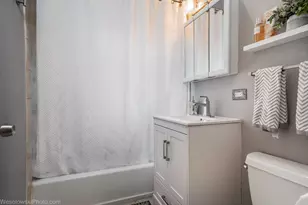 1011 S Oak Park Ave, Oak Park, IL 60304 - Photo 17