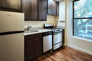 1430 N Dearborn Pkwy, Chicago, IL 60610 - Photo 3