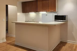 1504 N Dearborn Pkwy, Chicago, IL 60610 - Photo 15