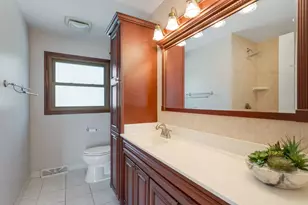 161 Jackson Ln, Bloomingdale, IL 60108 - Photo 29