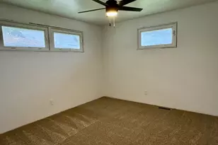 312 Chestnut St, Dalzell, IL 61320 - Photo 15