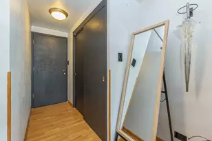 1150 N Lake Shore Dr, Chicago, IL 60611 - Photo 11