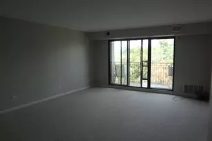 825 Pearson Ave, Des Plaines, IL 60016 - Photo 5