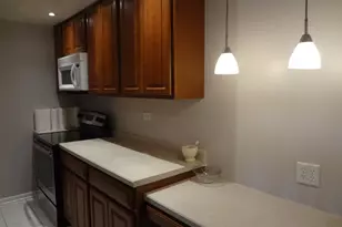 825 Pearson Ave, Des Plaines, IL 60016 - Photo 13