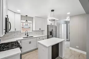 3827 W Hayford St, Chicago, IL 60652 - Photo 9