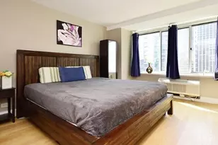 211 E Ohio St, Chicago, IL 60611 - Photo 9