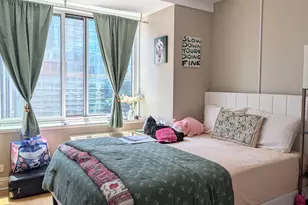 211 E Ohio St, Chicago, IL 60611 - Photo 11