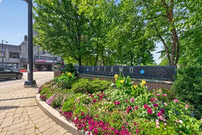 221 N Chester Avenue, Park Ridge, IL 60068 - Photo 25