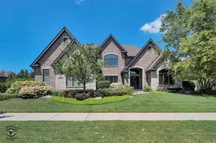 10700 Millers Way, Orland Park, IL 60467 - Photo 1