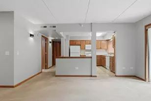 10 S Wille St, Mount Prospect, IL 60056 - Photo 15
