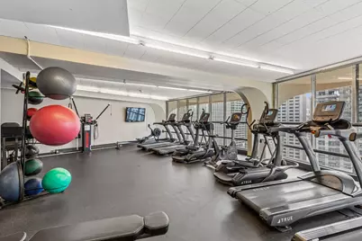 300 N State Street #4333, Chicago, IL 60654 - Photo 23