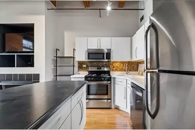 360 W Illinois Street #312, Chicago, IL 60654 - Photo 3