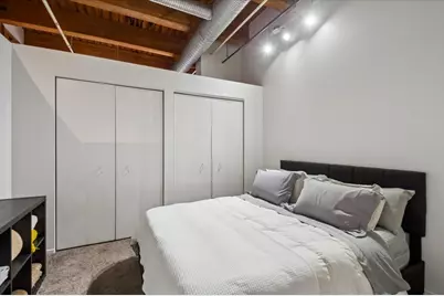 360 W Illinois Street #312, Chicago, IL 60654 - Photo 9