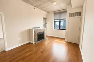 1464 S Michigan Ave, Chicago, IL 60605 - Photo 3