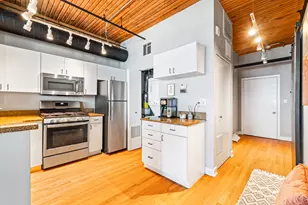 411 W Ontario St, Chicago, IL 60654 - Photo 9