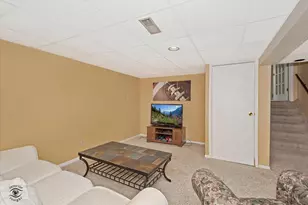 11621 Brookshire Dr, Orland Park, IL 60467 - Photo 23