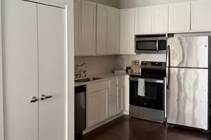 1 E 8th St, Chicago, IL 60605 - Photo 15