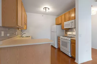 600 N Dearborn Street #1505, Chicago, IL 60654 - Photo 11