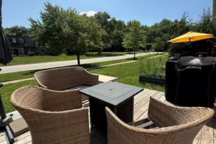 27 Cour Deauville, Palos Hills, IL 60465 - Photo 21