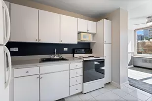 88 W Schiller St, Chicago, IL 60610 - Photo 11