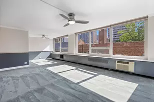88 W Schiller St, Chicago, IL 60610 - Photo 5