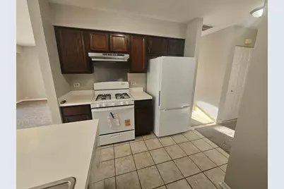 10 King Drive, Streamwood, IL 60107 - Photo 13