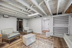 1137 S East Ave, Oak Park, IL 60304 - Photo 21