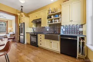1137 S East Ave, Oak Park, IL 60304 - Photo 9