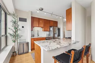 1717 S Prairie Ave, Chicago, IL 60616 - Photo 13