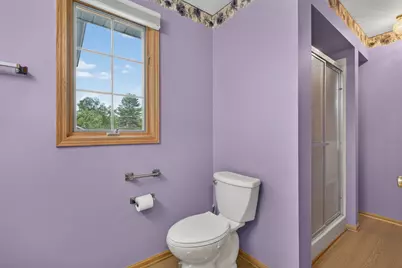 161 Smallmouth Lane, Wilmington, IL 60481 - Photo 31