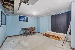 421 N William St, Joliet, IL 60435 - Photo 19