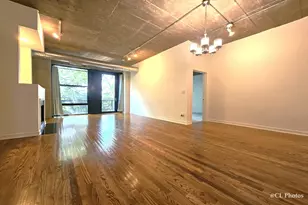 1111 W 15th St, Chicago, IL 60608 - Photo 3