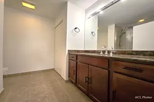 1111 W 15th St, Chicago, IL 60608 - Photo 11