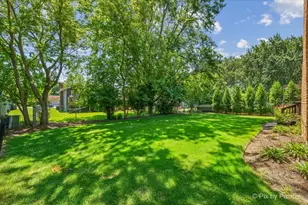 725 N Vista Dr, Algonquin, IL 60102 - Photo 37