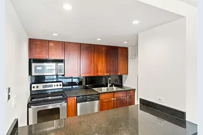 30 E Huron Street #2007, Chicago, IL 60611 - Photo 9