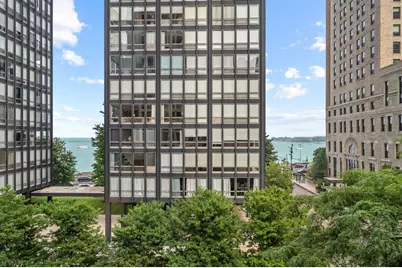 260 E Chestnut Street #512, Chicago, IL 60611 - Photo 23