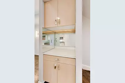 171 W Goethe Street #B, Chicago, IL 60610 - Photo 13