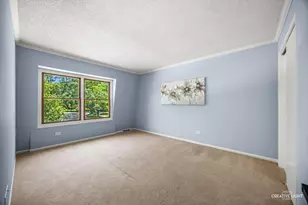 1014 Whirlaway Ave, Naperville, IL 60540 - Photo 21