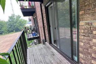 224 E Rimini Ct, Palatine, IL 60067 - Photo 15