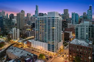 757 N Orleans St, Chicago, IL 60654 - Photo 3