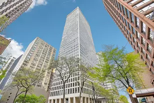 260 E Chestnut St, Chicago, IL 60611 - Photo 3