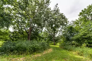 7429 N 1900 E Rd, Bloomington, IL 61705 - Photo 129