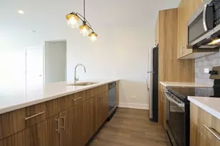 2111 S Halsted St, Chicago, IL 60608 - Photo 9